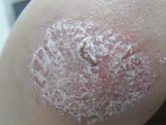 ����ţƤѢ���Ʒ���_����רҵţƤѢ���Ʒ���